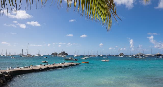 _MG_8921-header at Villa Mellow Mood