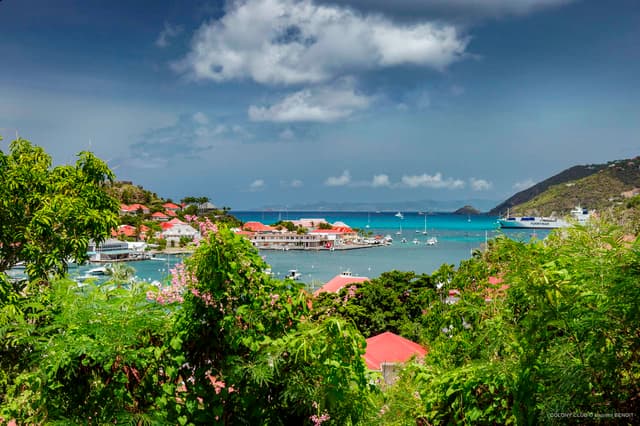 Colony Club E2 photo 1