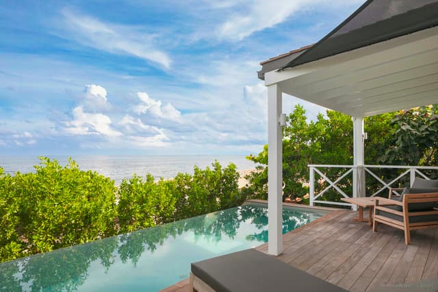 Mini Citron Vert photo 3