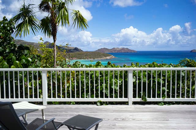 Terre Indigo photo 1