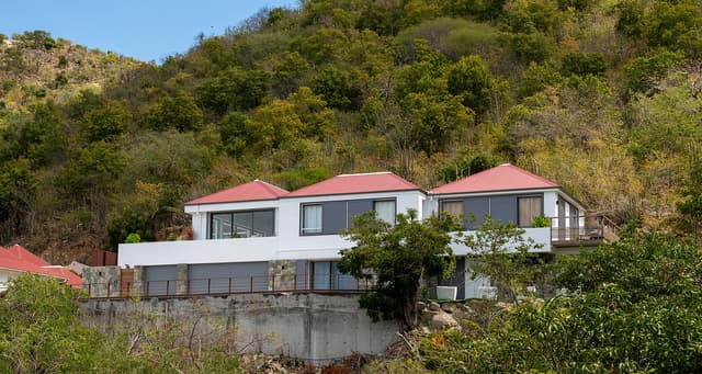 Grenadines photo 3