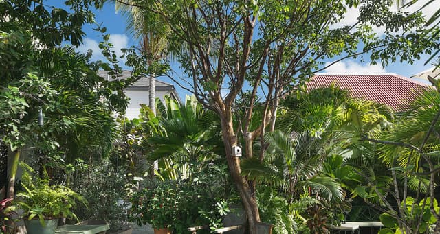 Greenhouse photo 4