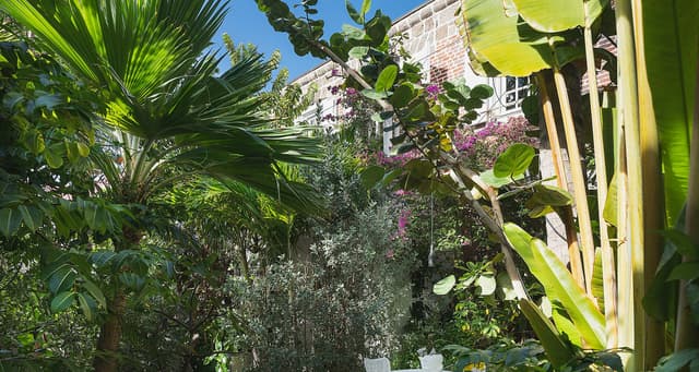 Greenhouse photo 3