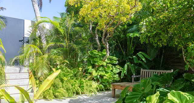 Bobonnière---Jeanne-LE-MENN-1-header at Villa Bonbonniere