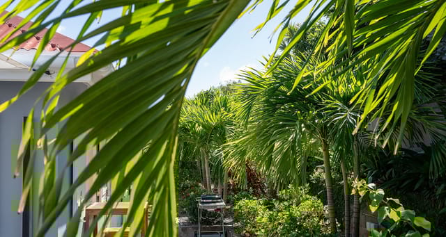 Maison-Bleue30-header at Villa La Maison Bleue