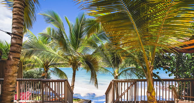 IMG8947jpgWQN2N7-header at Villa Lo d'Amour