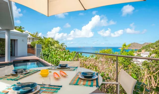 Bird - Pool at Villa Magic Bird in St Barts - St. Barts Villa Rental