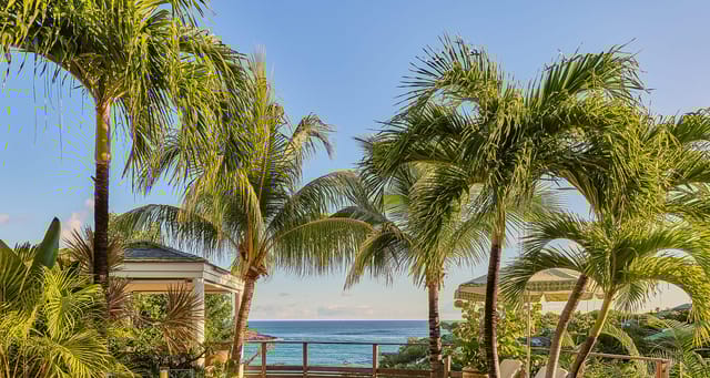 2024-03-11-SiBarth-ReadMcKendree-0314_V1-header at Villa Mayflower