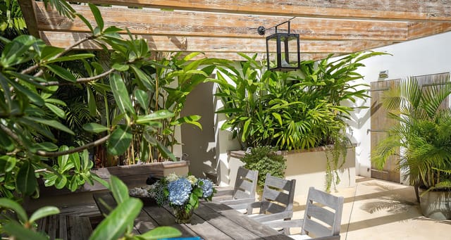 Noe27-header at Villa Noé