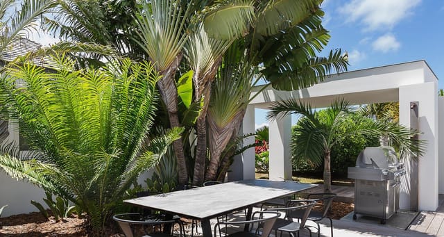 MG6087jpgumIpgT-header at Villa Olive