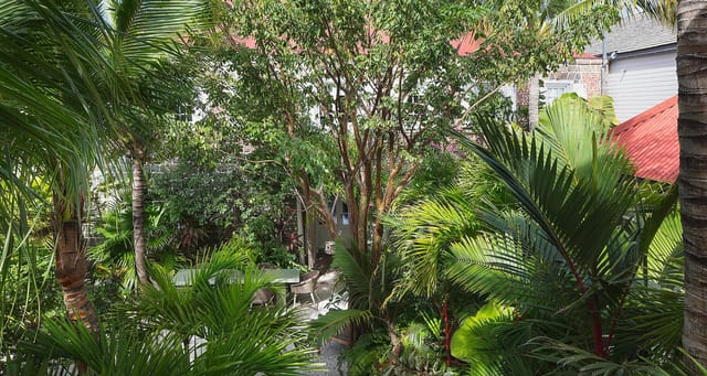 _MG_7173-header at Villa Swedish House