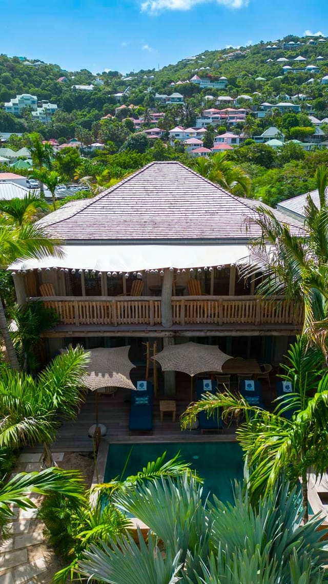 Banana - Arial view V at Villa Wild Banana